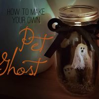 DIY Pet Ghost Craft